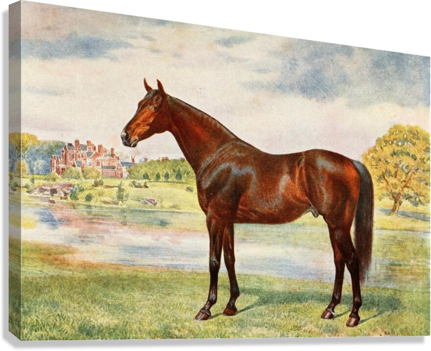 Persimmon Canvas Print