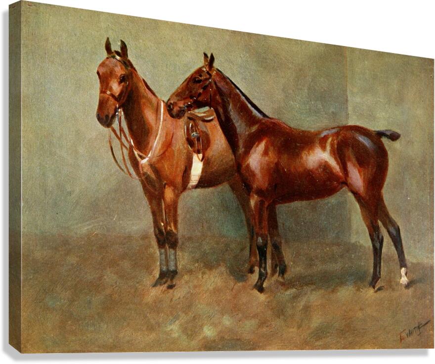 Polo Ponies Romany And Tith Owned By Sir J. Barker Frederic Whiting English 1874–1962 Canvas Print
