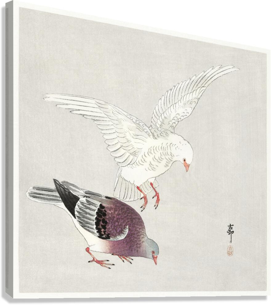 Two pigeons 1877-1945 by Ohara Koson 1877-1945. Canvas Print