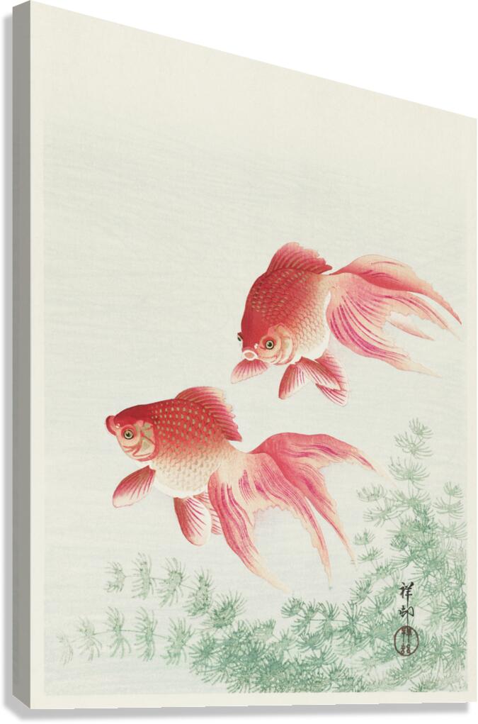 Two veil goldfish 1926 by Ohara Koson 1877-1945. Canvas Print