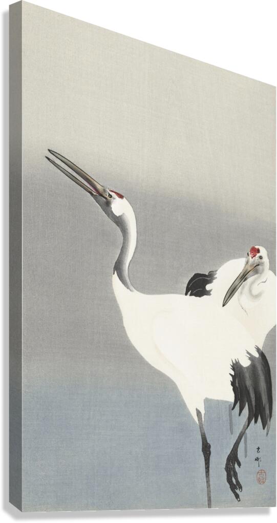 Two cranes 1900-1930 by Ohara Koson 1877-1945. Canvas Print