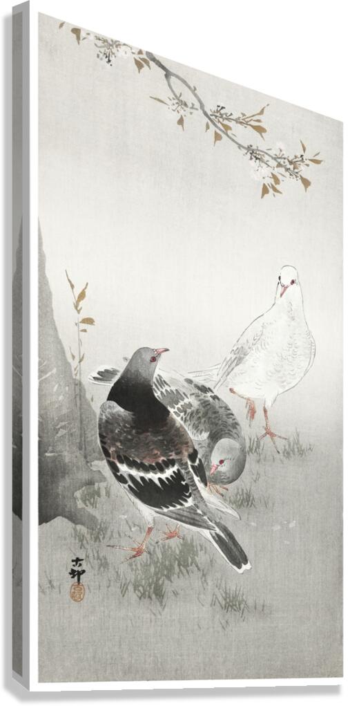 Three pigeons 1900-1930 by Ohara Koson 1877-1945. Canvas Print