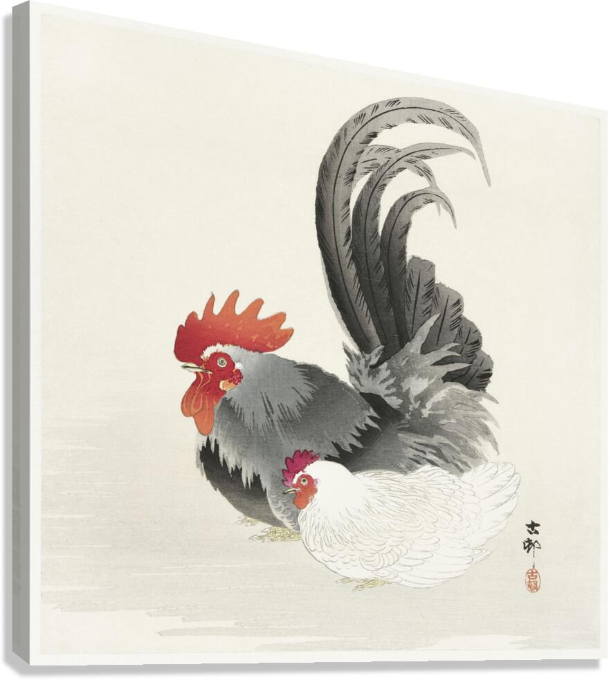 Gallinule with Lotus Flowers 1900 - 1930 by Ohara Koson 1877-1945. Canvas Print