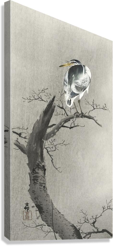 Kwak on branch 1900 - 1936 by Ohara Koson 1877-1945. Canvas Print