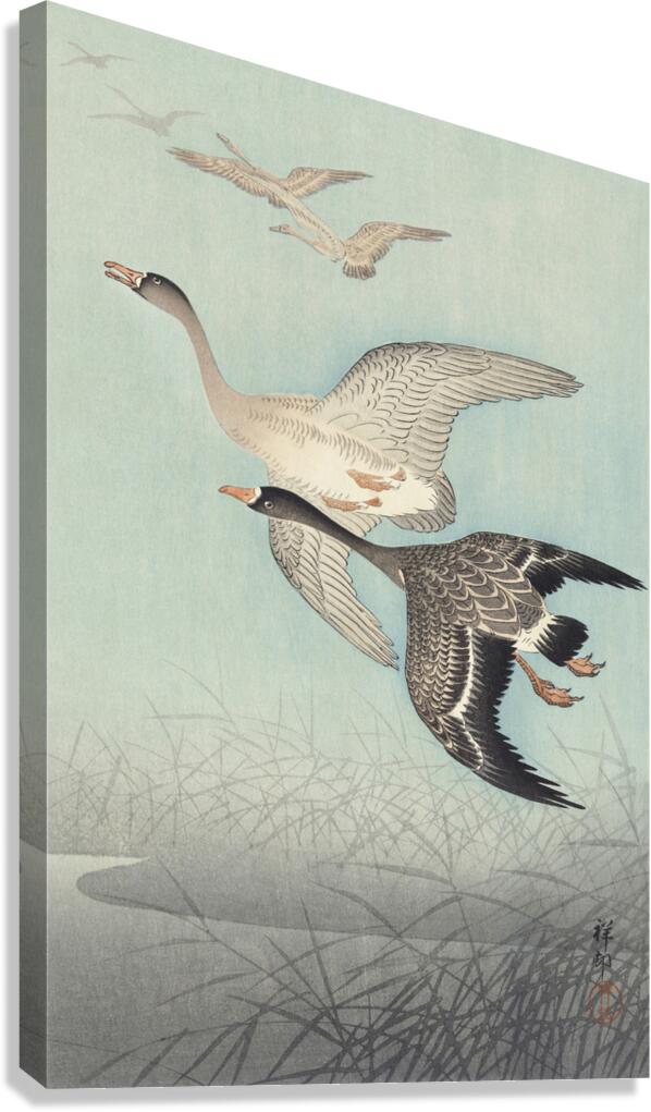 Great geese in flight 1925 - 1936 by Ohara Koson 1877-1945. Canvas Print