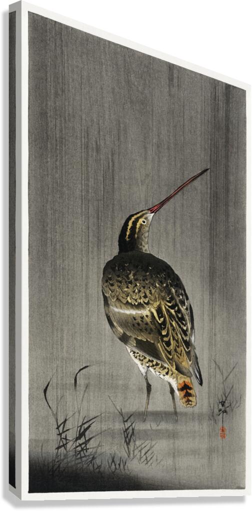 Snipe in the rain 1900 - 1930 by Ohara Koson 1877-1945. Canvas Print