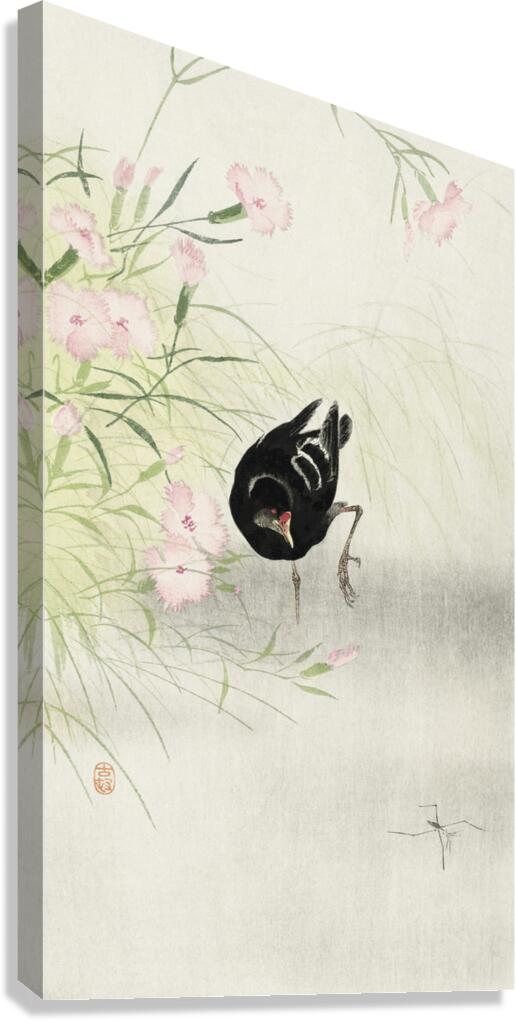 Moorhen at flowering plant 1900 - 1936 by Ohara Koson 1877-1945. Canvas Print