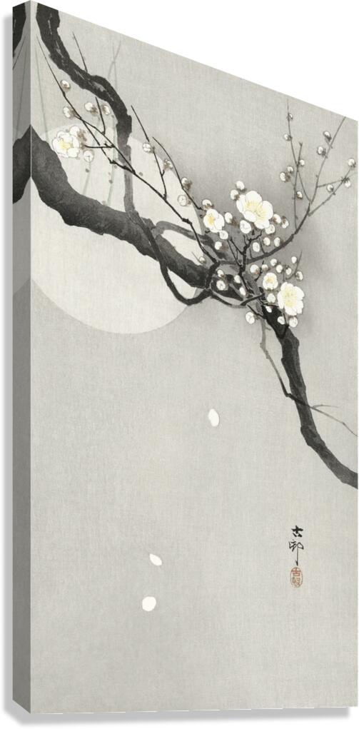 Plum blossom and full moon 1900 - 1936 by Ohara Koson 1877-1945. Canvas Print