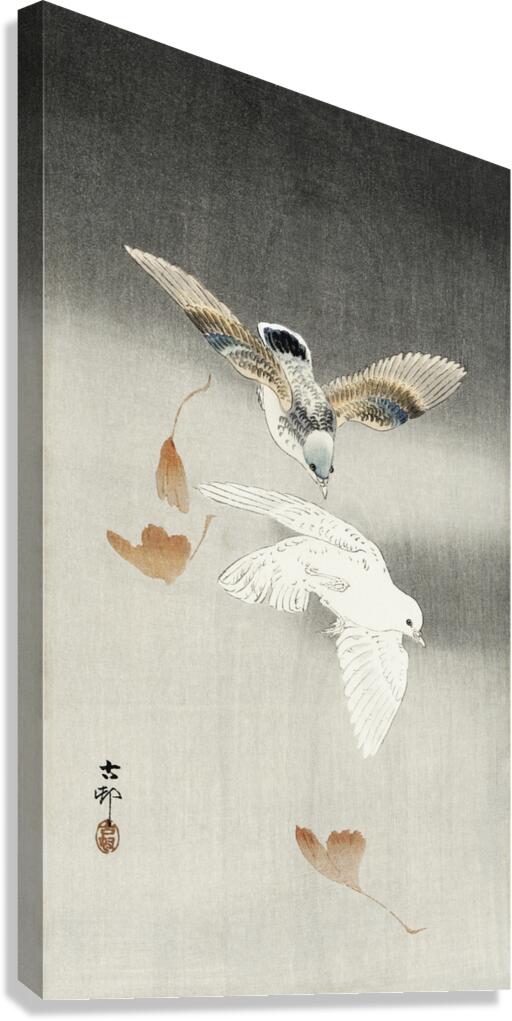 Two pigeons with falling ginkgo leaves 1900 - 1930 by Ohara Koson 1877-1945. Canvas Print