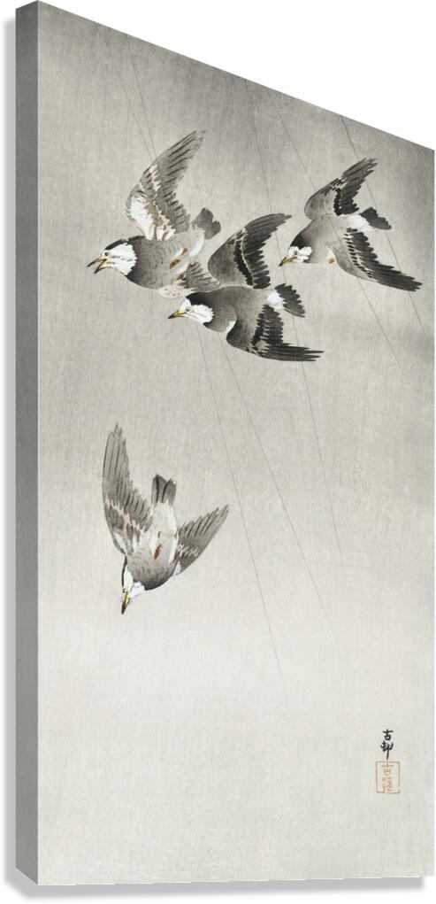 Starlings in the rain 1900 - 1930 by Ohara Koson 1877-1945. Canvas Print