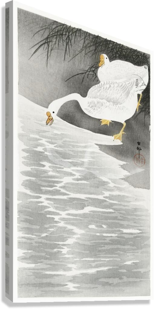 Geese on the shore 1900 - 1930 by Ohara Koson 1877-1945. Canvas Print