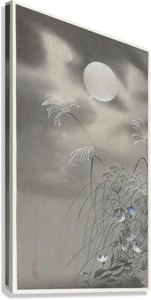 Gull on rock 1900 - 1910 by Ohara Koson 1877-1945. Canvas Print