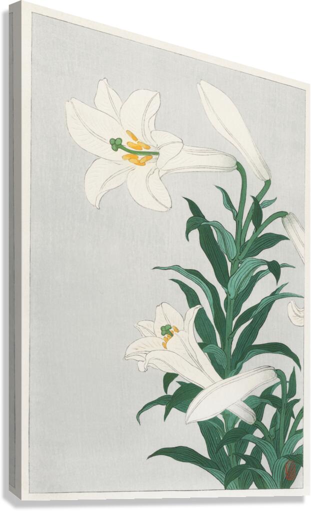 Lilies Ohara  1920 - 1930 by Ohara Koson 1877-1945. Canvas Print