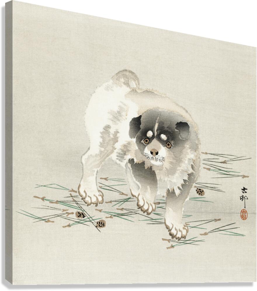 Young dog 1900 - 1930 by Ohara Koson 1877-1945. Canvas Print