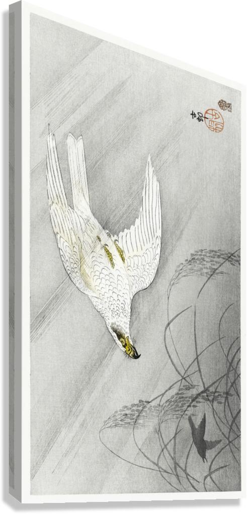 Hunting hawk 1900 - 1910 by Ohara Koson 1877-1945. Canvas Print