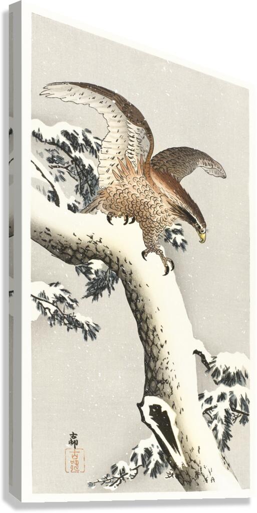 Eagle on a tree branch 1887 - 1930 by Ohara Koson 1877-1945. Canvas Print
