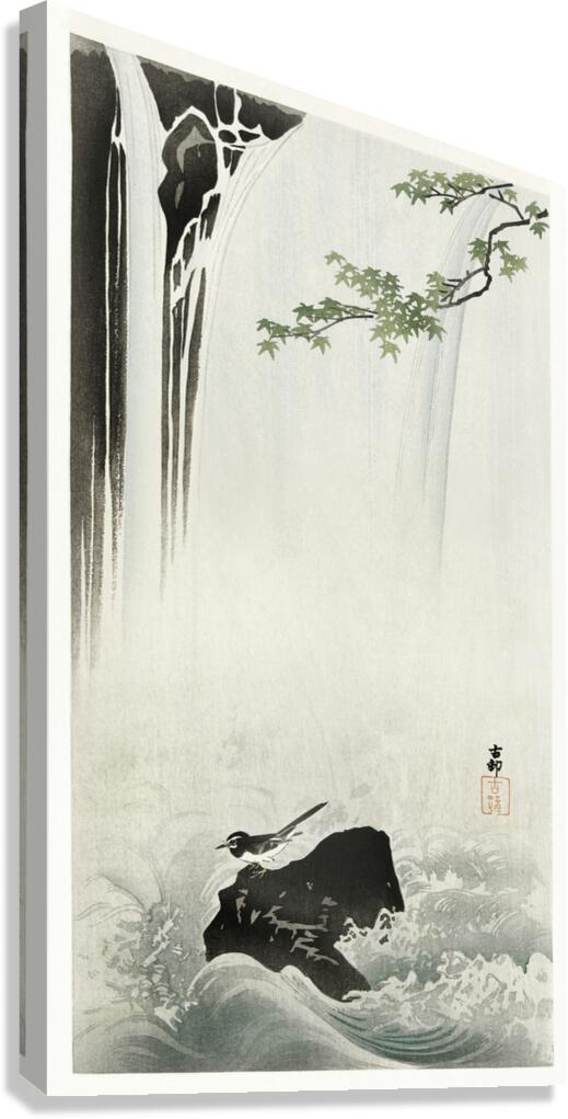 Japanese wagtail at waterfall 1900 - 1930 by Ohara Koson 1877-1945. Canvas Print