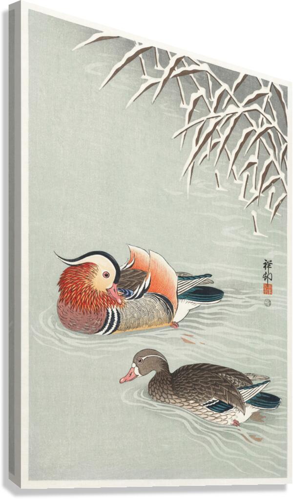 Mandarin ducks 1925 - 1936 by Ohara Koson 1877-1945. Canvas Print