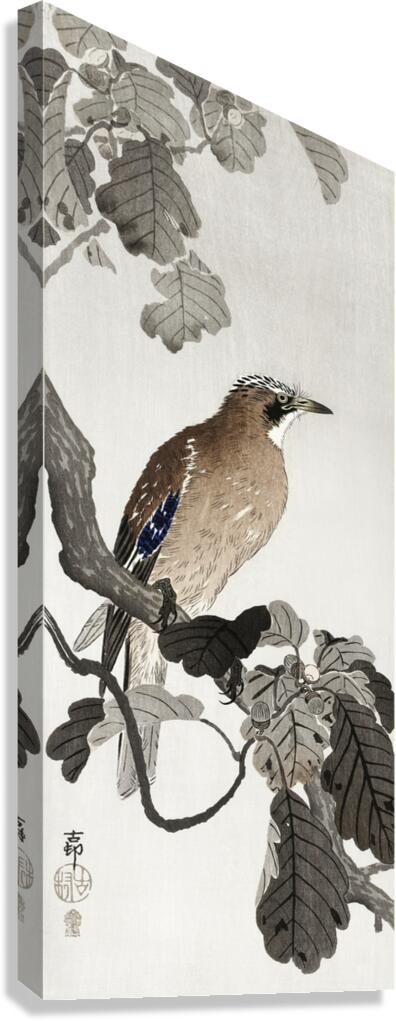 Jay on tree branch 1900 - 1910 by Ohara Koson 1877-1945. Canvas Print