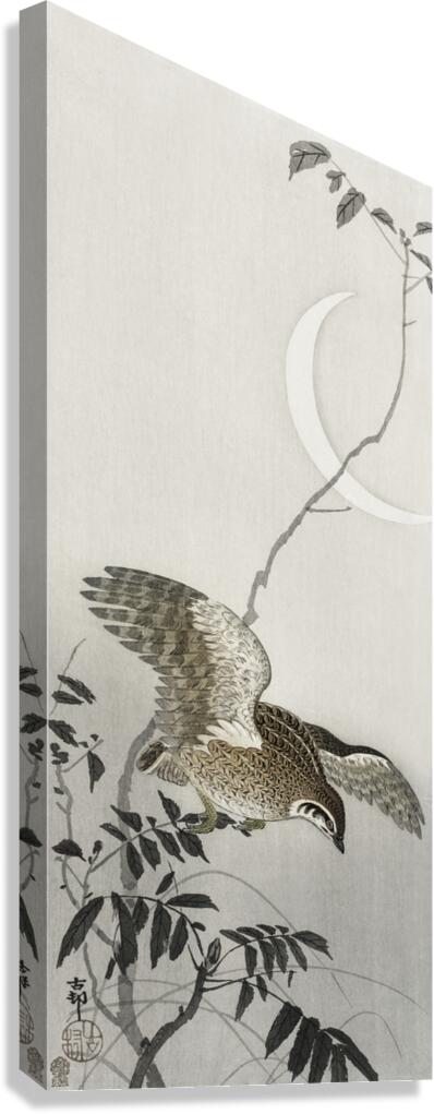 Quail at moon sickle 1900 - 1910 by Ohara Koson 1877-1945. Canvas Print