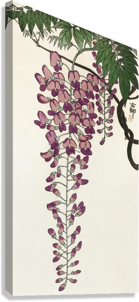 Blooming wisteria 1900 - 1930 by Ohara Koson1877-1945. Canvas Print