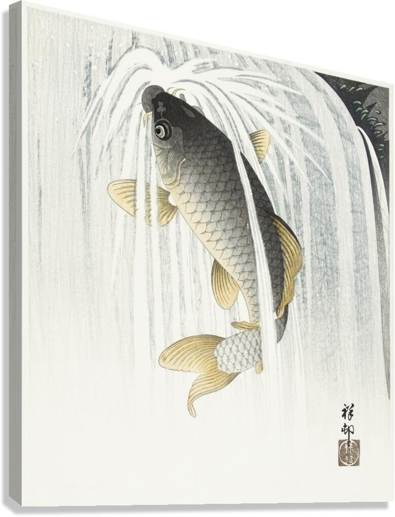 Carp 1935 by Ohara Koson 1877-1945. Canvas Print
