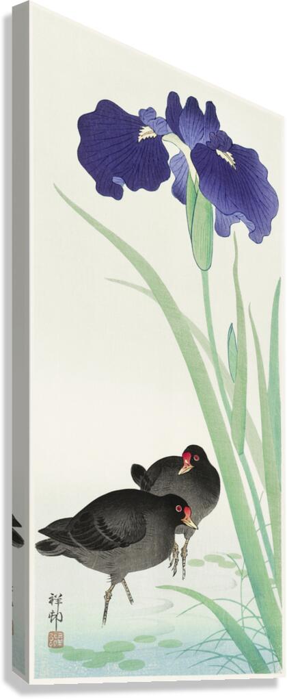 Waterhoots and iris 1925 - 1936 by Ohara Koson 1877-1945. Canvas Print