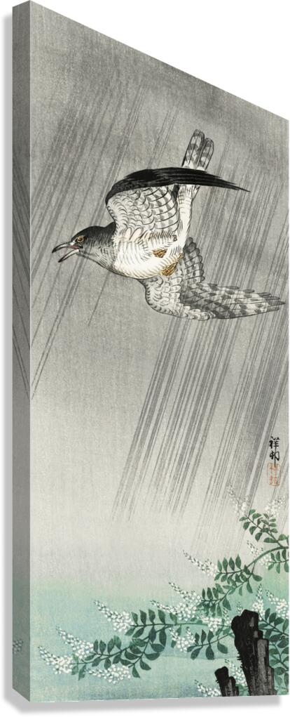 Cuckoo in storm 1925 - 1936 by Ohara Koson 1877-1945. Canvas Print