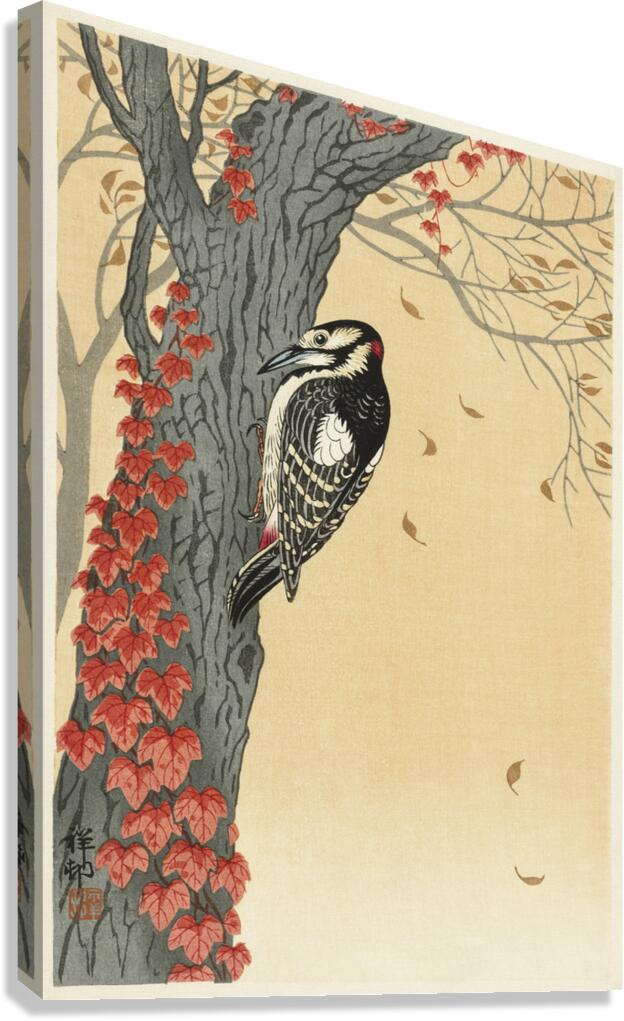 Great spotted woodpecker in tree with red ivy 1925 - 1936 by Ohara Koson 1877-1945. Canvas Print