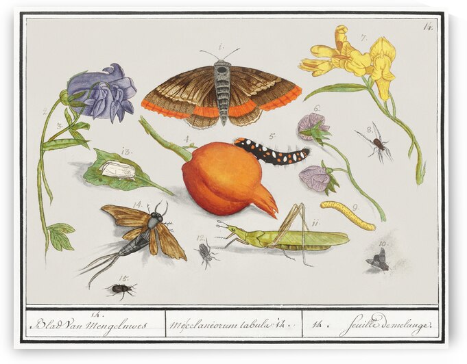 Nature ensemble in vintage style by IStockHistory com