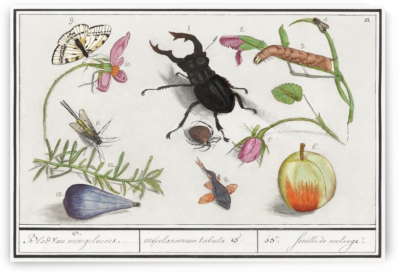 Nature ensemble in vintage style by IStockHistory com