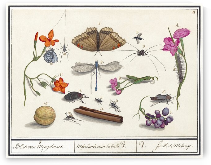 Nature ensemble in vintage style by IStockHistory com