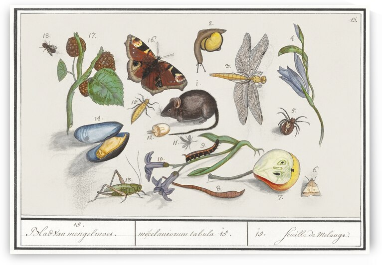 Nature ensemble in vintage style by IStockHistory com