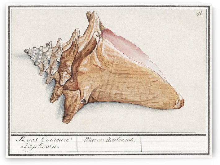 Swan in vintage style by IStockHistory com