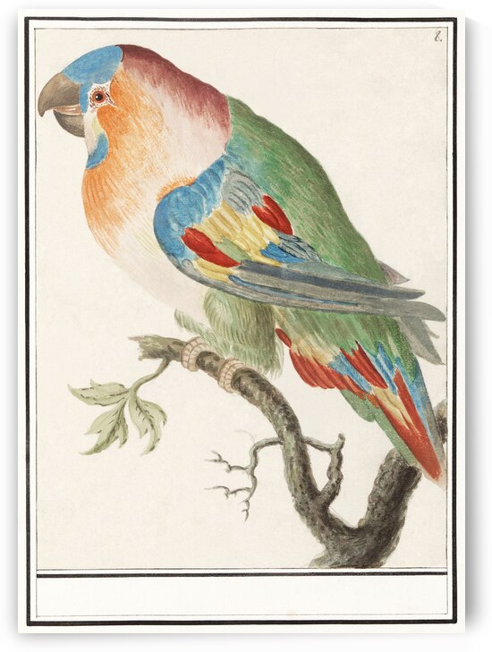 Swan in vintage style by IStockHistory com