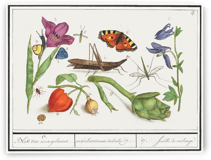 Nature ensemble in vintage style by IStockHistory com