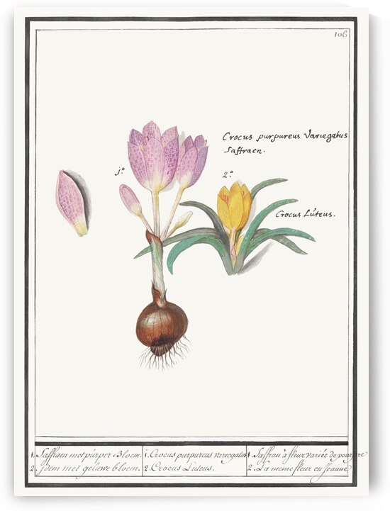 Nature ensemble in vintage style by IStockHistory com