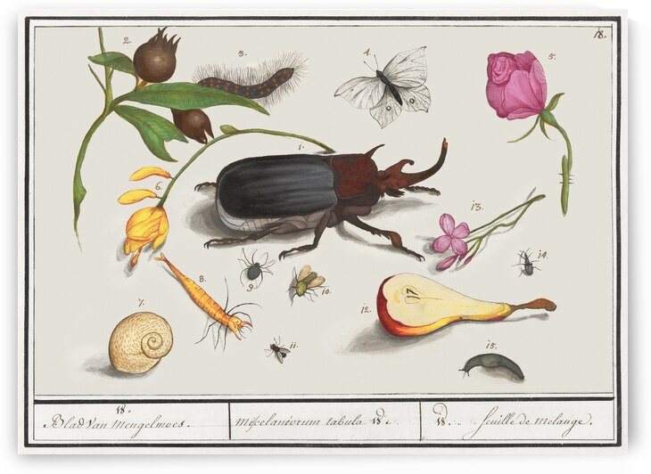 Nature ensemble in vintage style by IStockHistory com