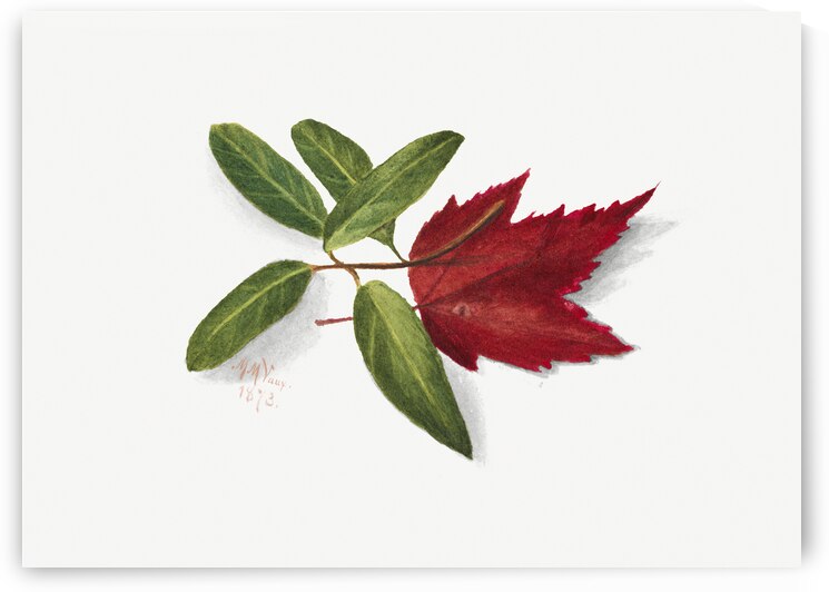 Autumn Leaves 1874 by IStockHistory com