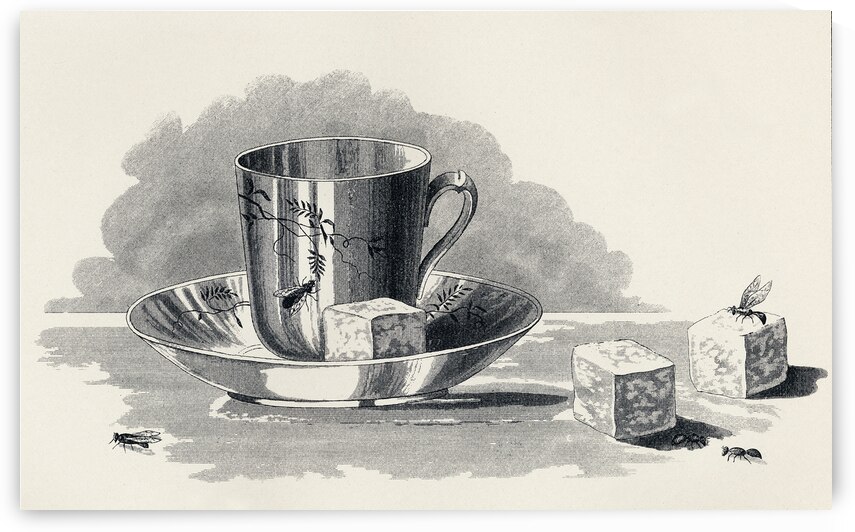 Mary Orvis Marbury 006 by IStockHistory com