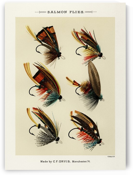 Salmon Flies  by IStockHistory com