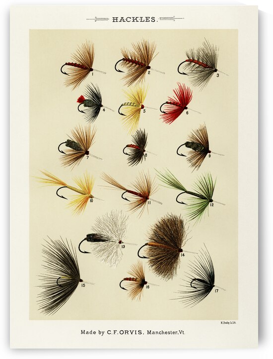 Hackles  by IStockHistory com