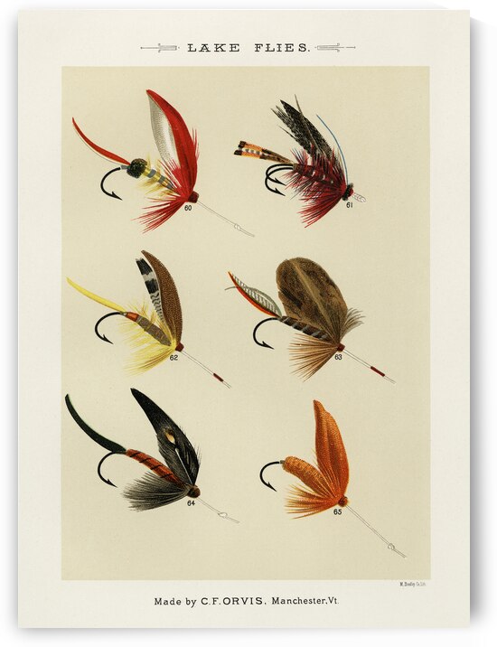 Lake Flies  by IStockHistory com