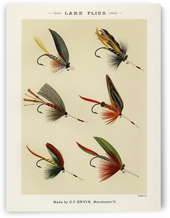 Lake Flies  by IStockHistory com