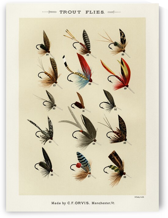 Trout Flies  by IStockHistory com
