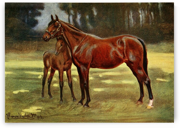 Perdita With Persimmon John Hanson Walker Jr. English 1844-1933 by IStockHistory com