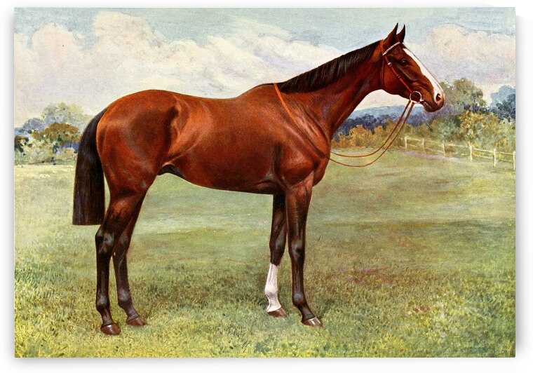 Spearmint by IStockHistory com