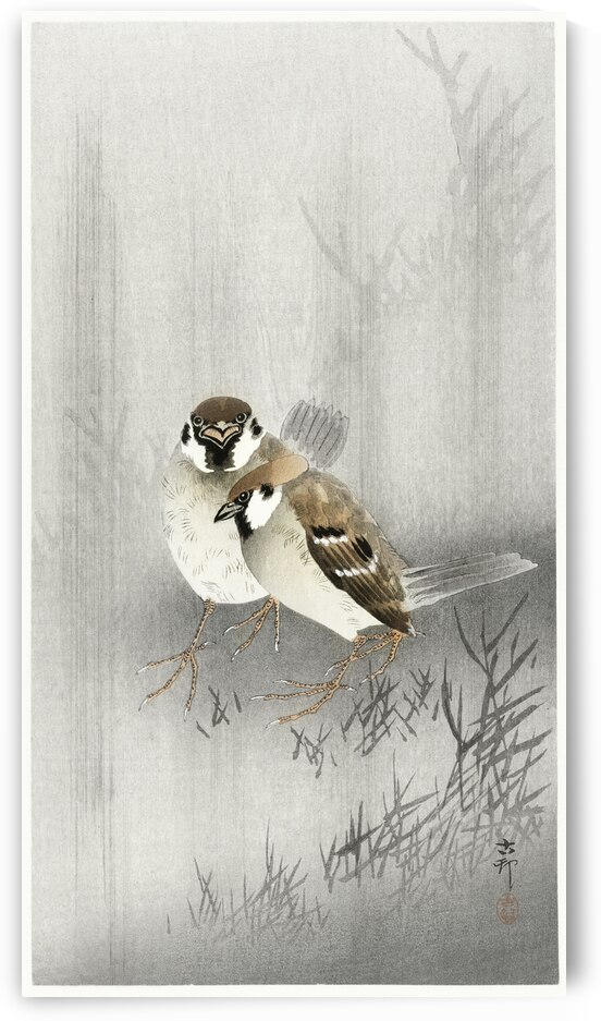 Two ring sparrows in the rain 1900 - 1930 by Ohara Koson 1877-1945. by IStockHistory com