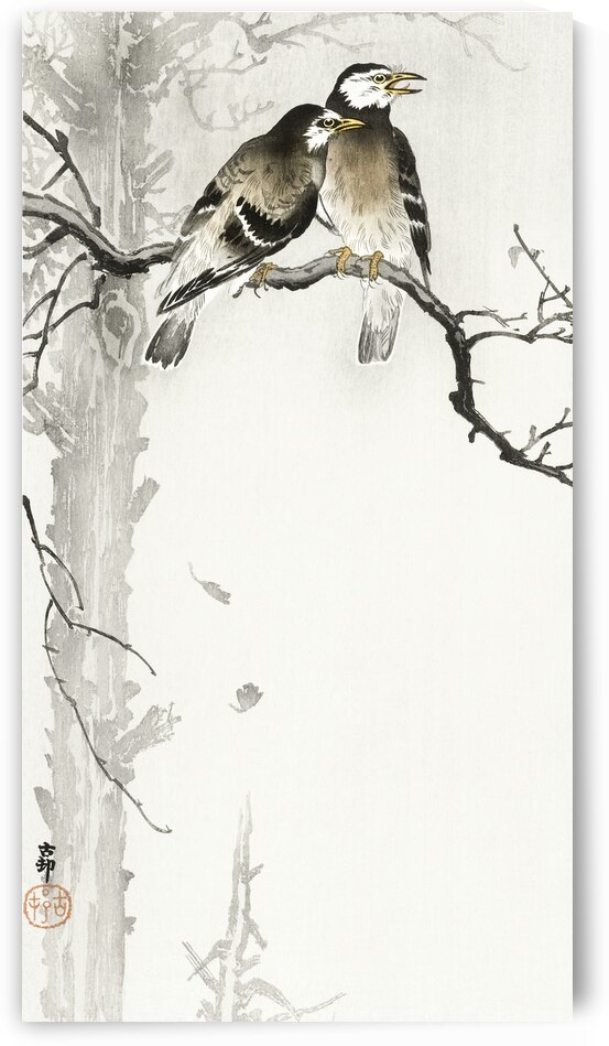 Two ring sparrows in the rain 1900 - 1930 by Ohara Koson 1877-1945. by IStockHistory com