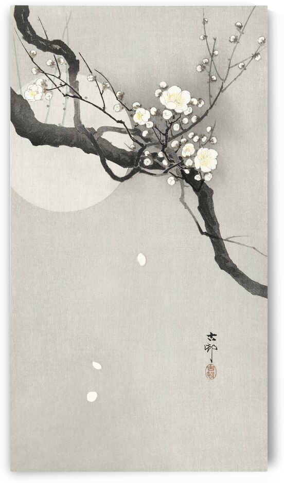 Plum blossom and full moon 1900 - 1936 by Ohara Koson 1877-1945. by IStockHistory com